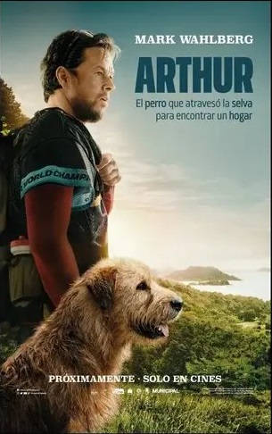 m11 - copia (7).webp